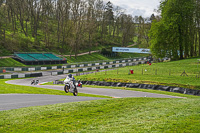 Middle Group White Bikes